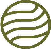 Nonprofit Capacity Building Icon
