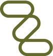 Program Development and Evaluation Icon